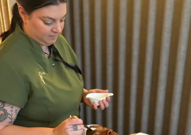 indoor swimming pool hotel van der valk arlon