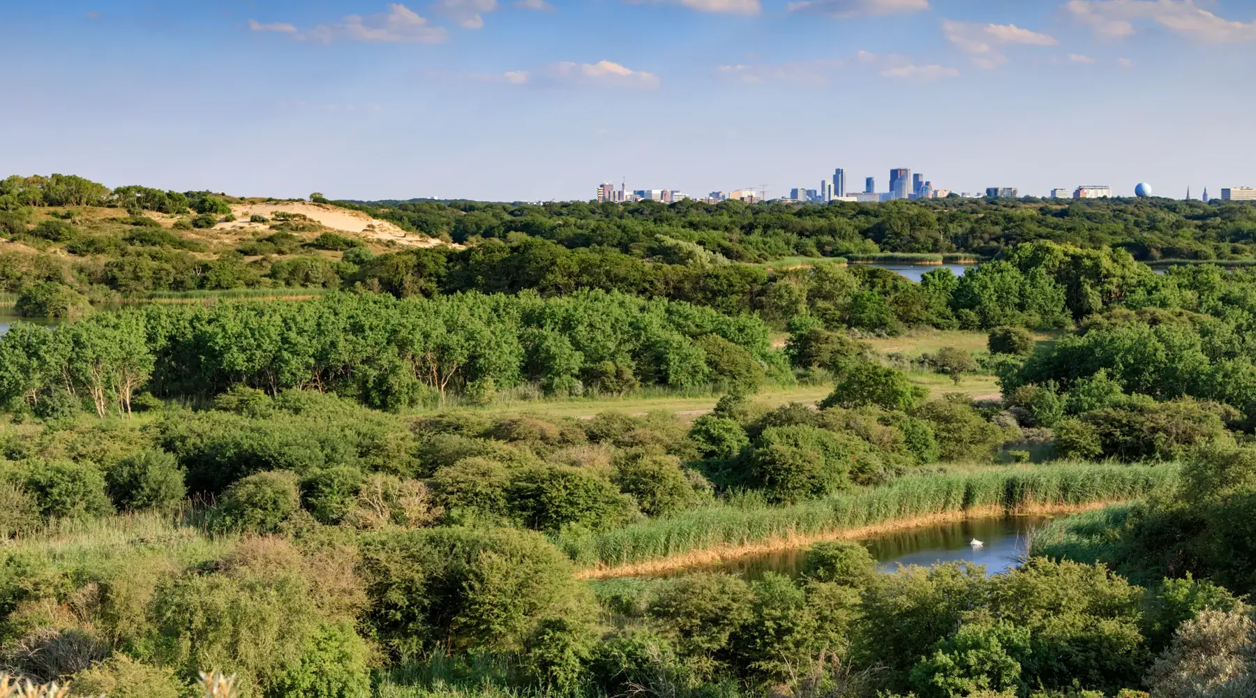 Nature reserve Meijendel