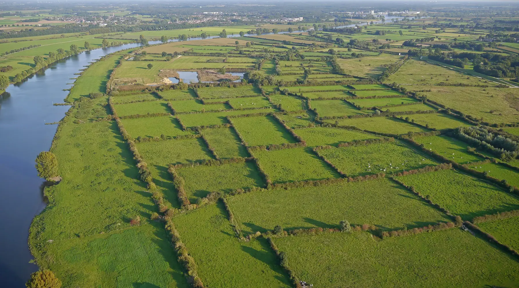 Maasheggen luchtfoto