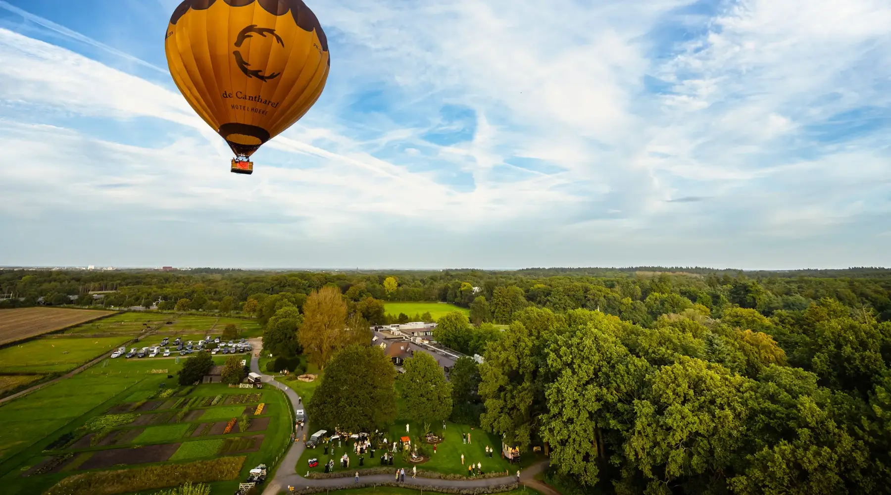Chanterelle hot air balloon above a wooded area