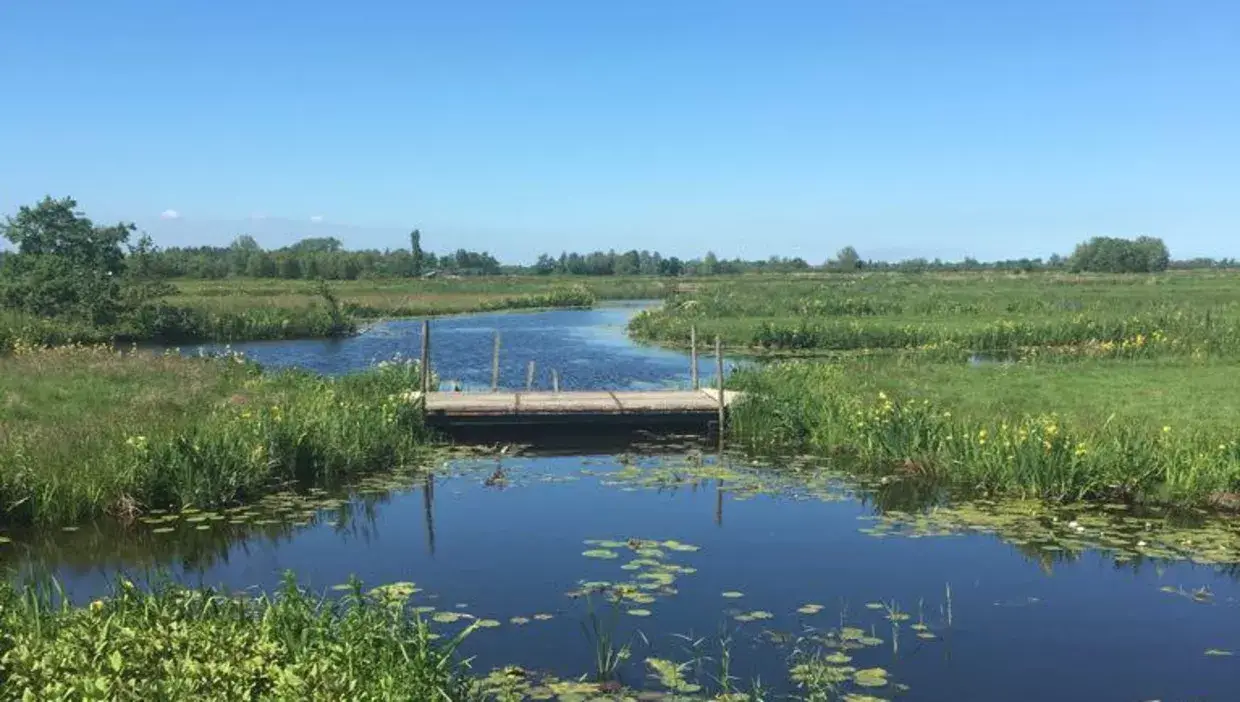 nature reserve