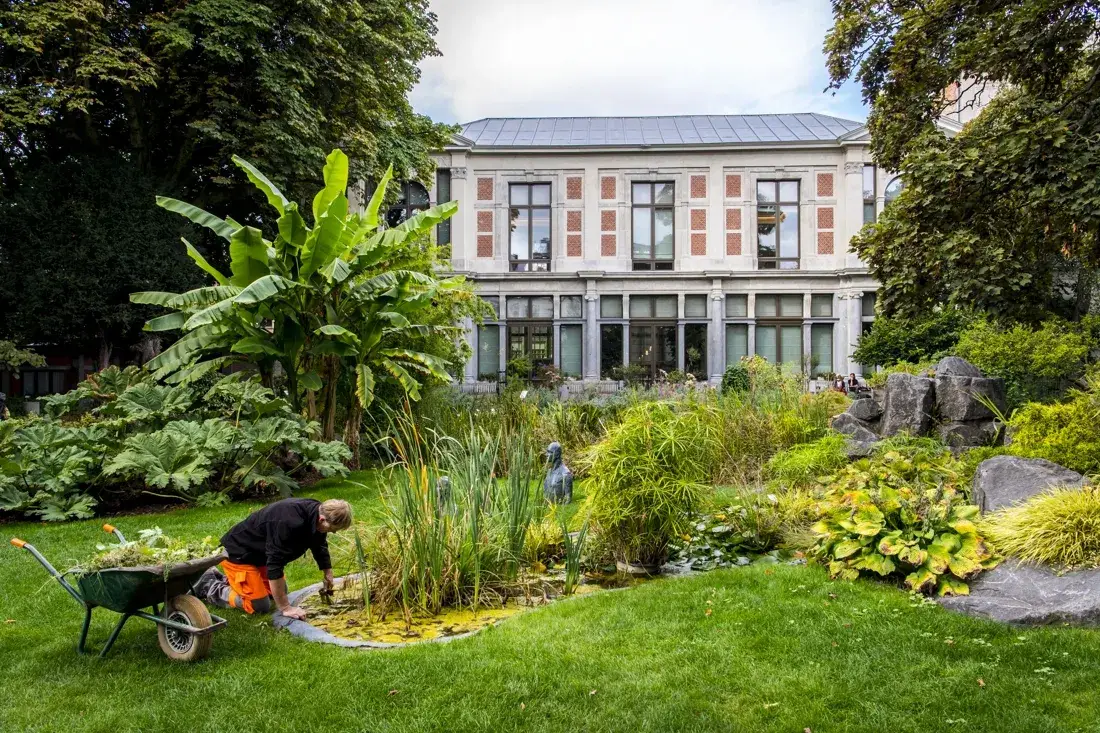 Botanische tuin Antwerpen