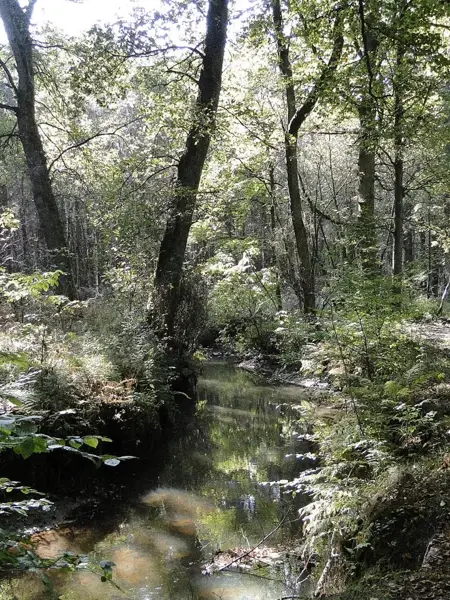 Domaine de Gorp et Roovert