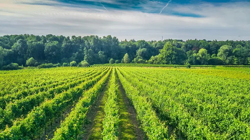 Domaine du chapitre