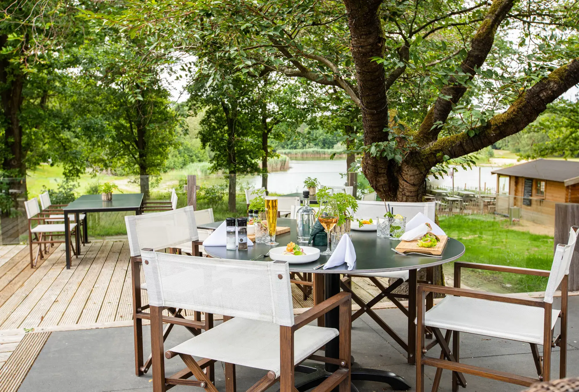 Terras