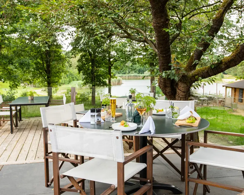 Terras