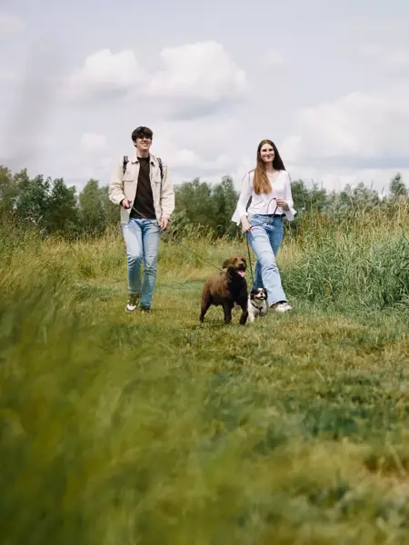 Freundinnen in Leeuwarden