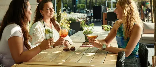 Terras
