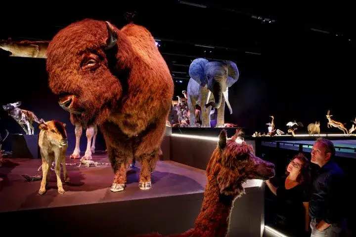Naturalis Biodiversity Center in Leiden | Museum | Biodiversität