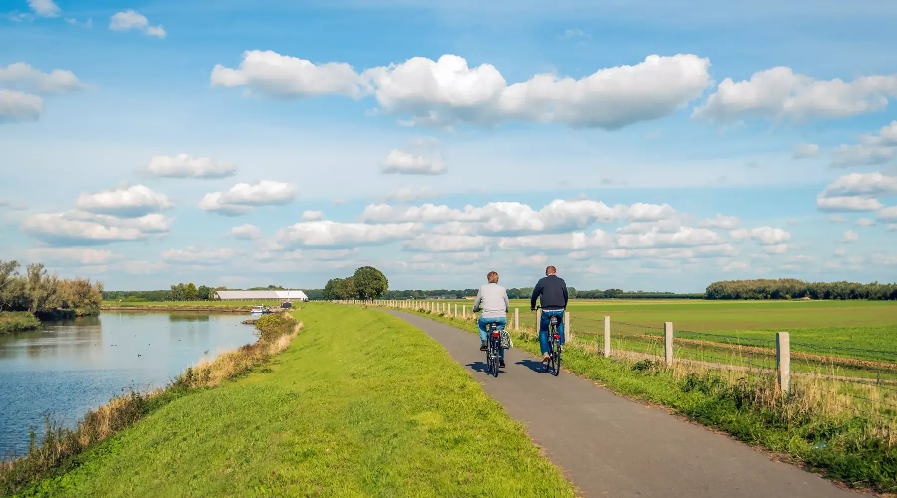 Faire du vélo au parc national de Biesbosch 