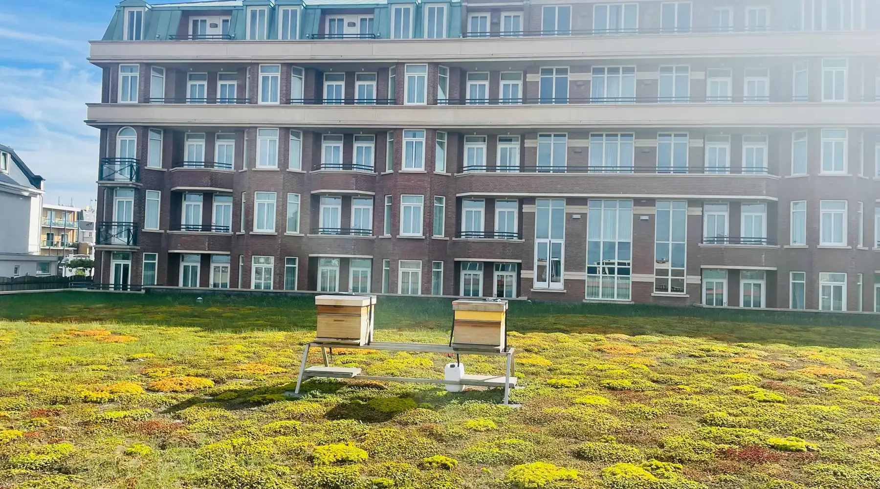 Cultivation of own produce in Noordwijk