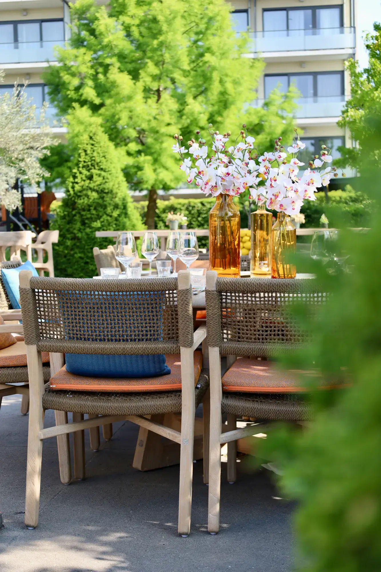 Terras