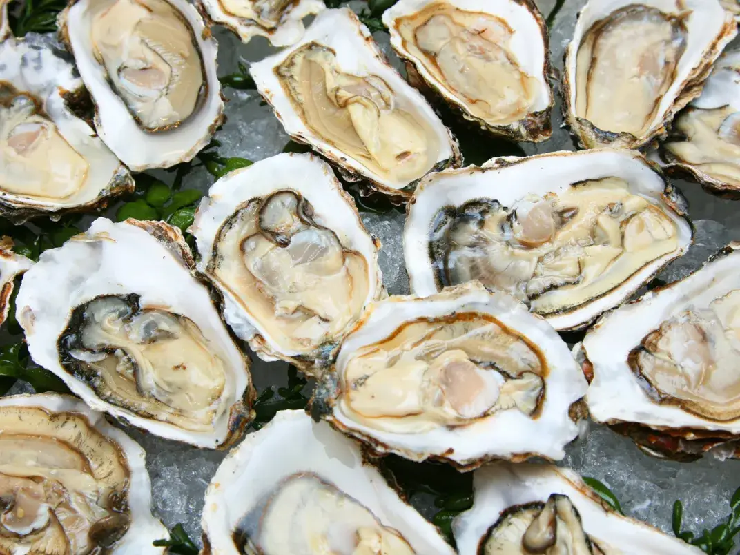 Oesters