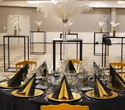 Zaal-Room  Party - Feest