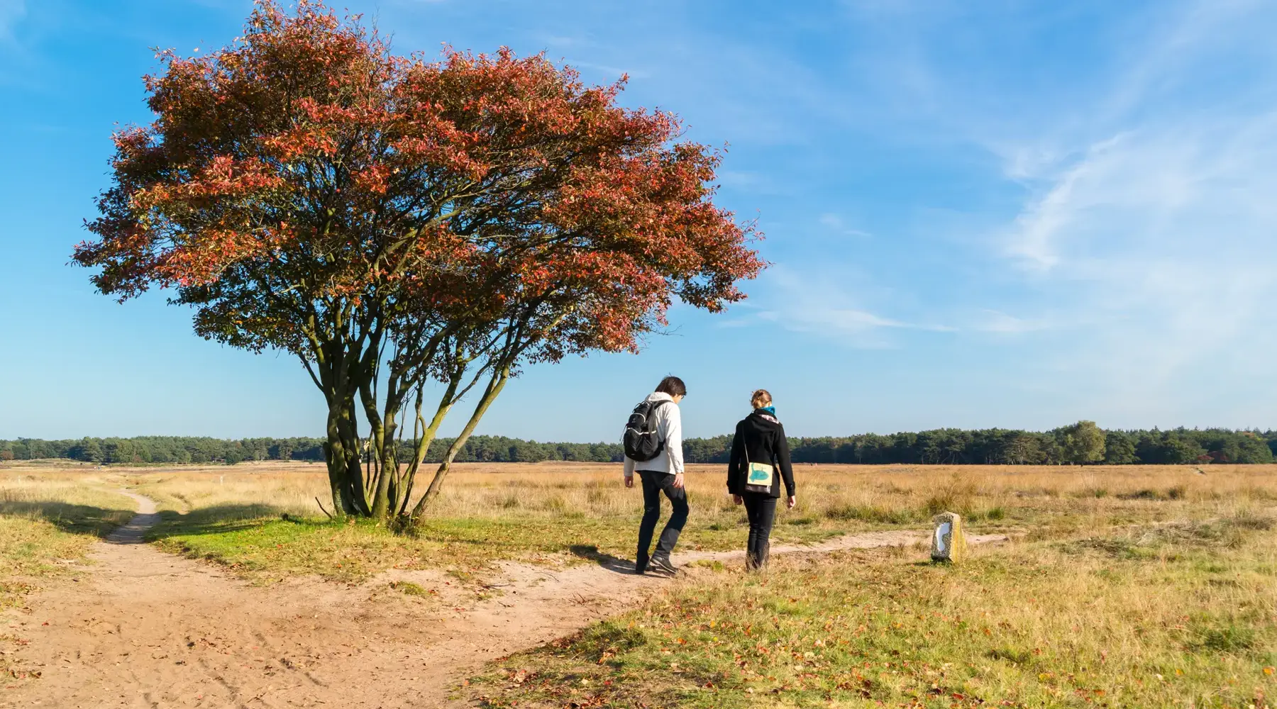 Hiking Pieterpad in nature