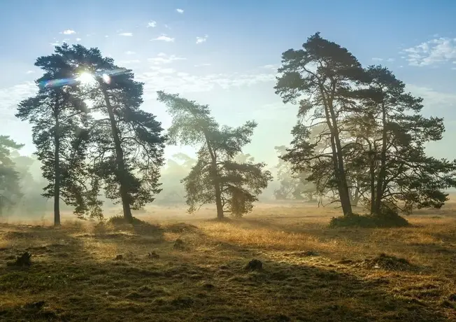 Kinderen met geitjes