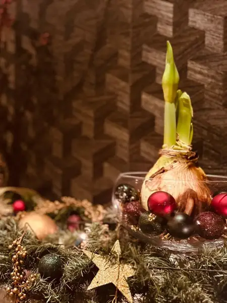 Kerstshow Eurofleur