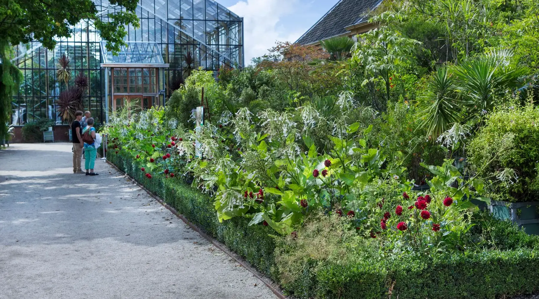 Hortus Botanicus Leiden | Botanische tuin