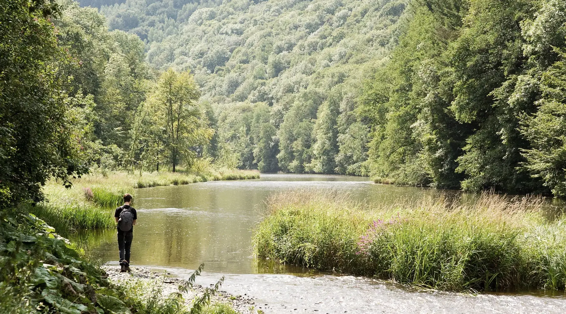 Man wandelt door Ardennen langs meer.